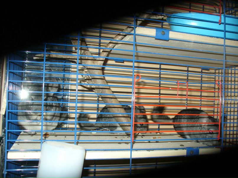 Галина Захарова *ГаЛиНкА* | Одесса