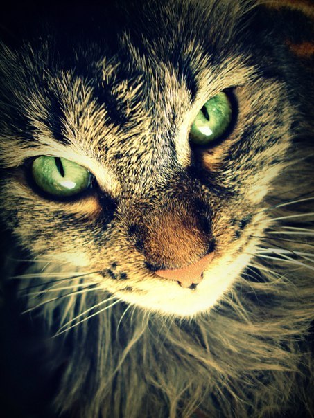 Антон Борисов | Нижний Новгород