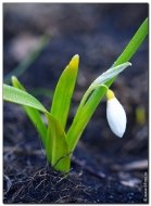 Анна Британова | Екатеринбург