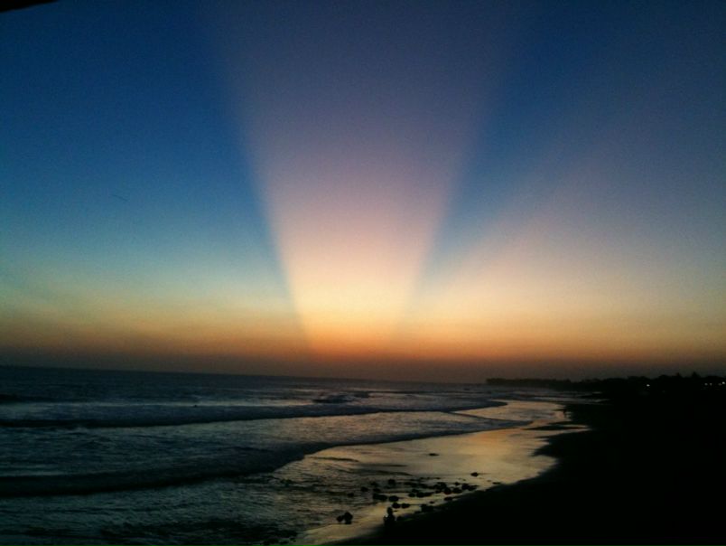 №113, Полина Селюгина №113, Полина Селюгина