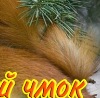 №68, Ярослав Полищук, 41 год №68, Ярослав Полищук, 41 год
