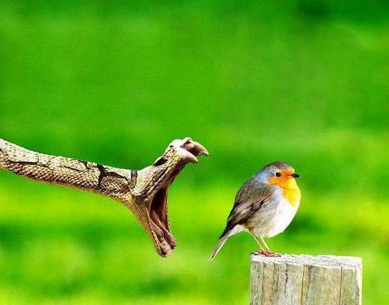 №7, Александр Лесничев, Барнаул №7, Александр Лесничев, Барнаул