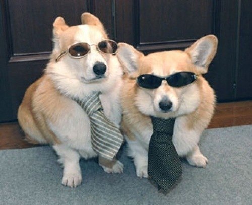 Валерий Горюнов | 