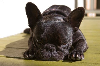 Анна Жукова | Новосибирск