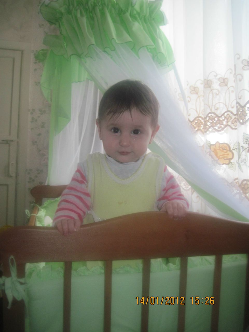 Ангелина Везири | Горловка