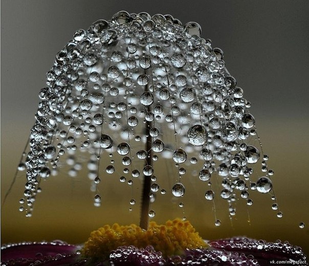 Ирина Вейзе | Москва