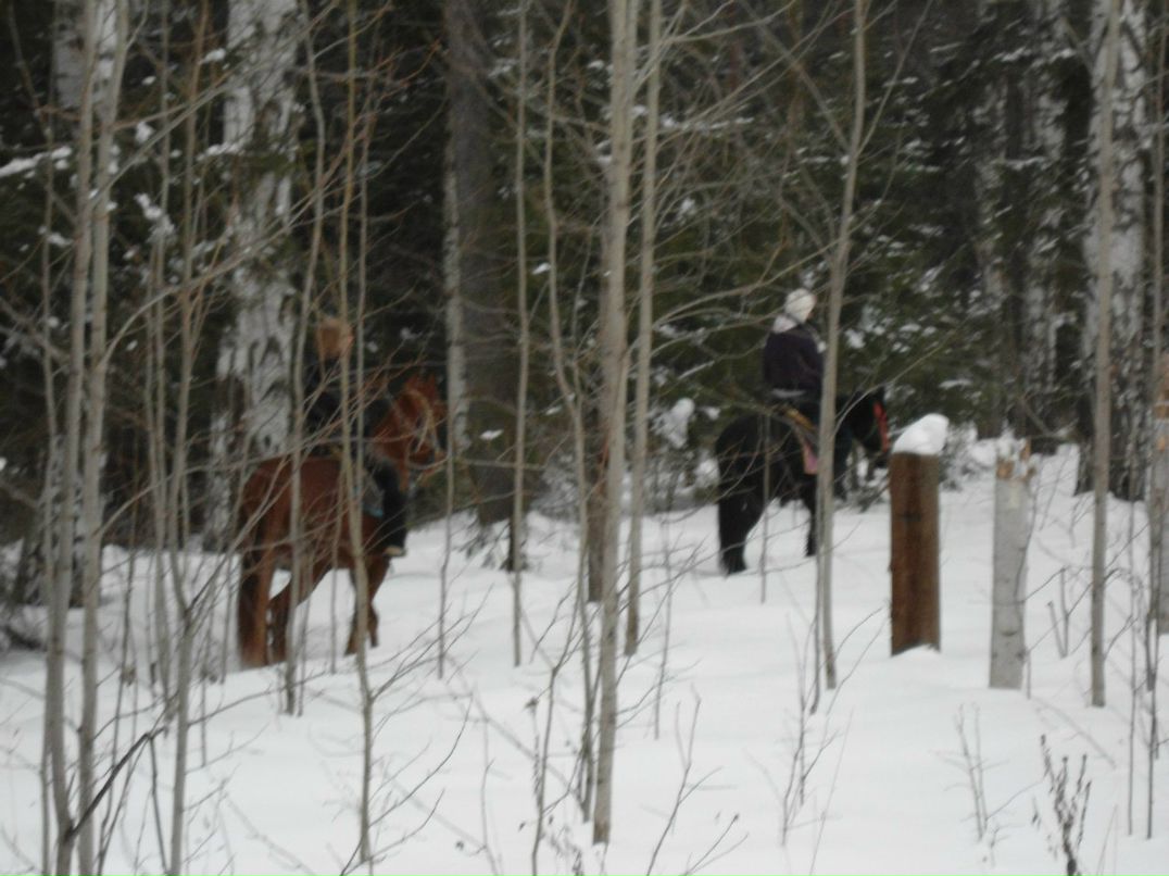 Анастасия Меркучева | Москва