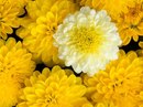 №28 Юлия Ваша : профиль, фото, статус - ВКонтакте