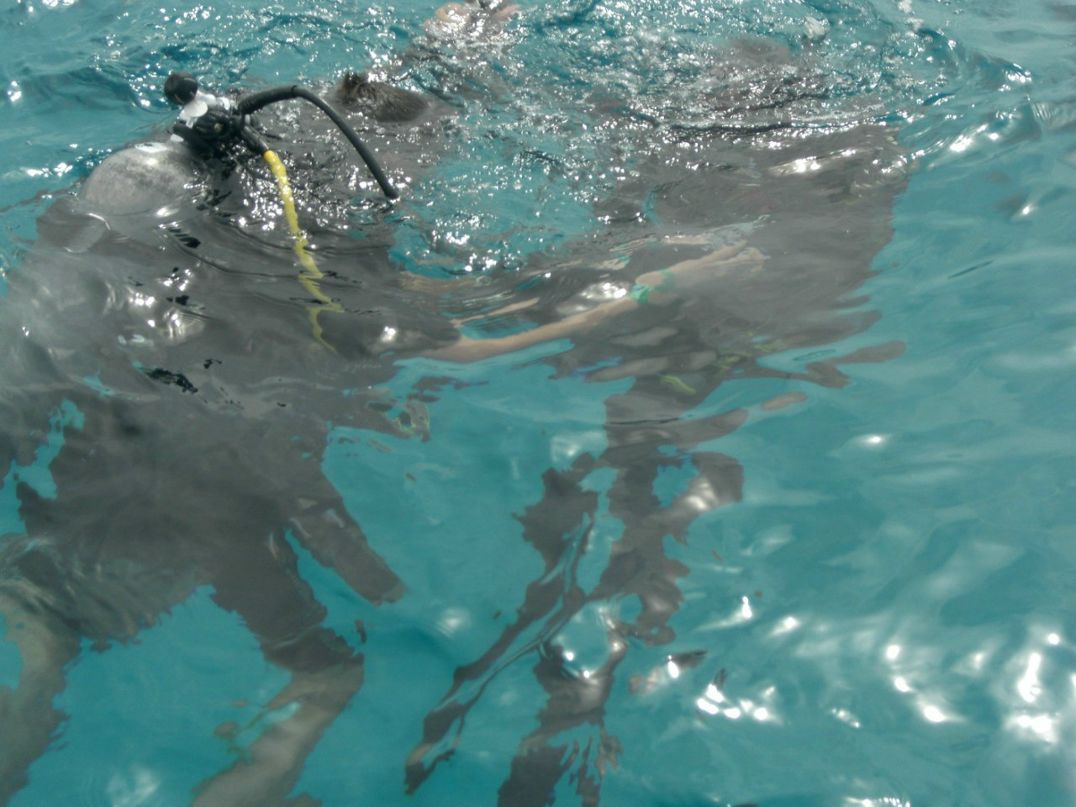 Марина Яккар Yakor | Москва