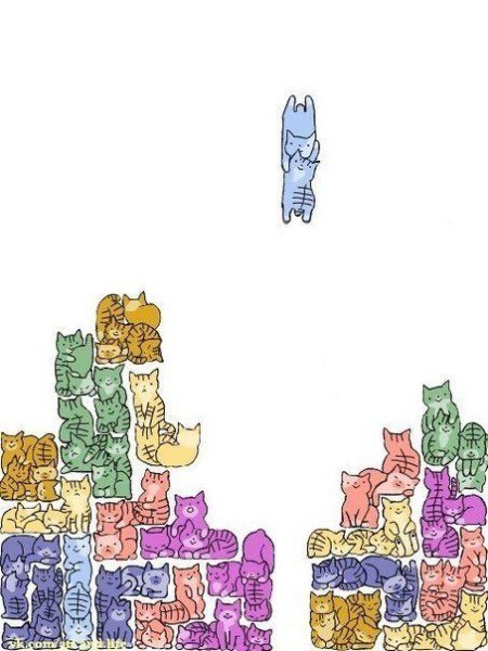 Андрей Медовник †[BloodY]† | Воронеж