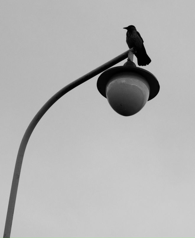 Вадим Супранович | Минск