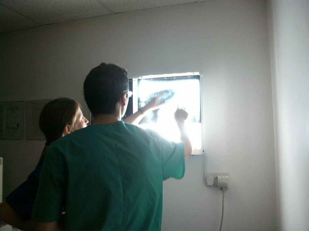 Эдгар Осьминин Amadeus | Каунас