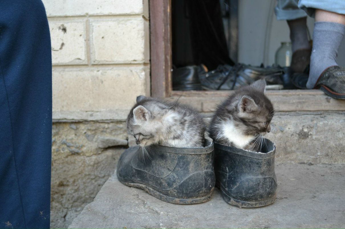 Владимир Кущ | Днепр (Днепропетровск)