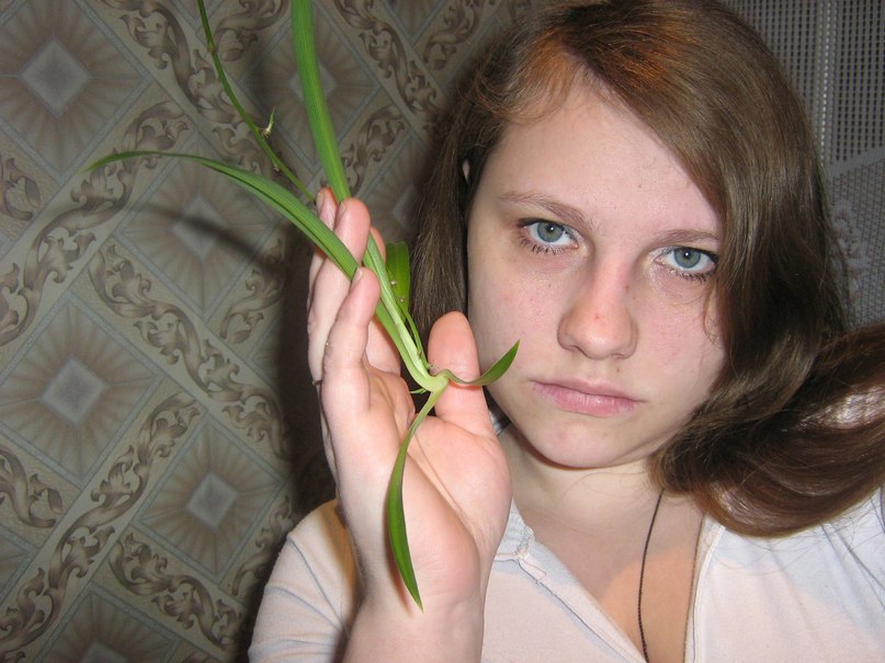 Антон Севостьянихин валерьевич | Апатиты