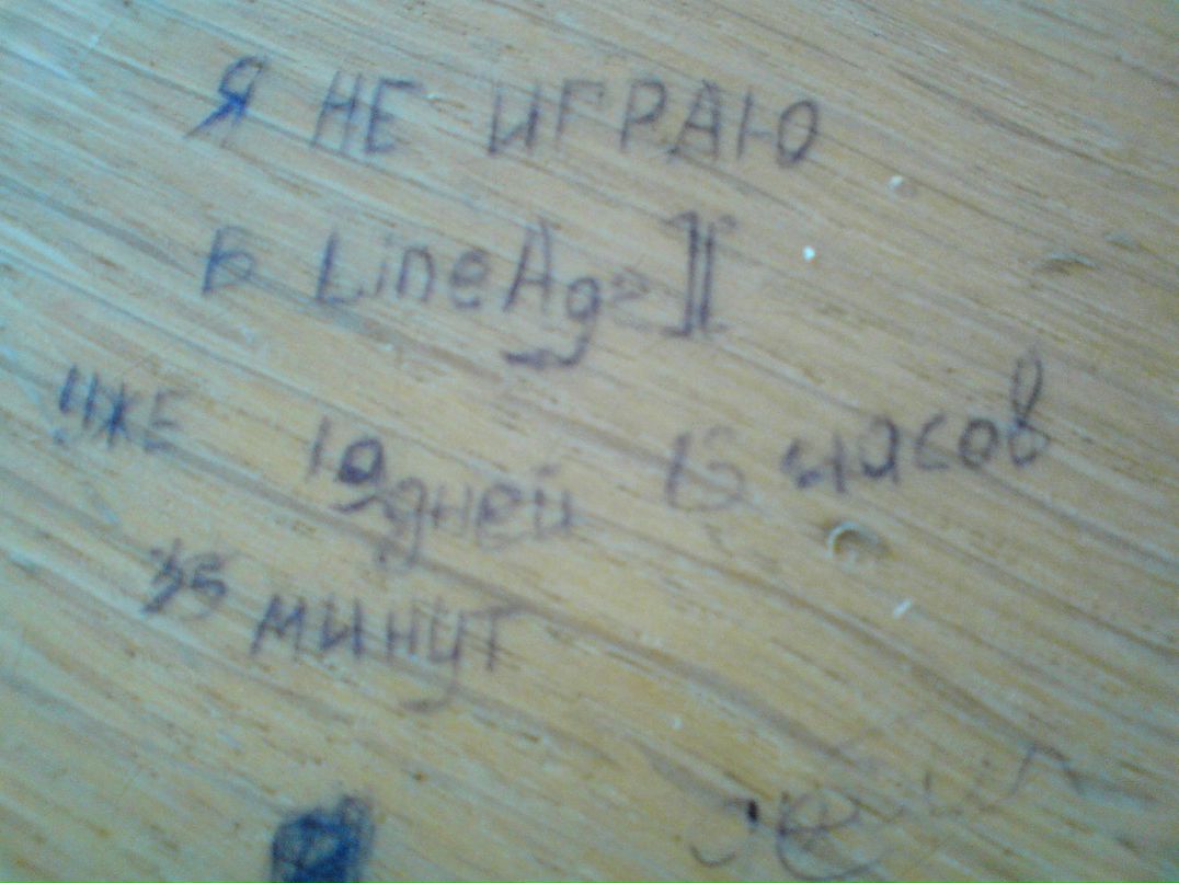 Михаил Солохин Belka | Харьков