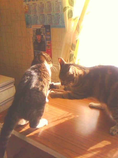 №29, Светлана Леонова, 30 лет, Угра №29, Светлана Леонова, 30 лет, Угра