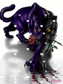 Юрий Герасименко GERA | Черноголовка