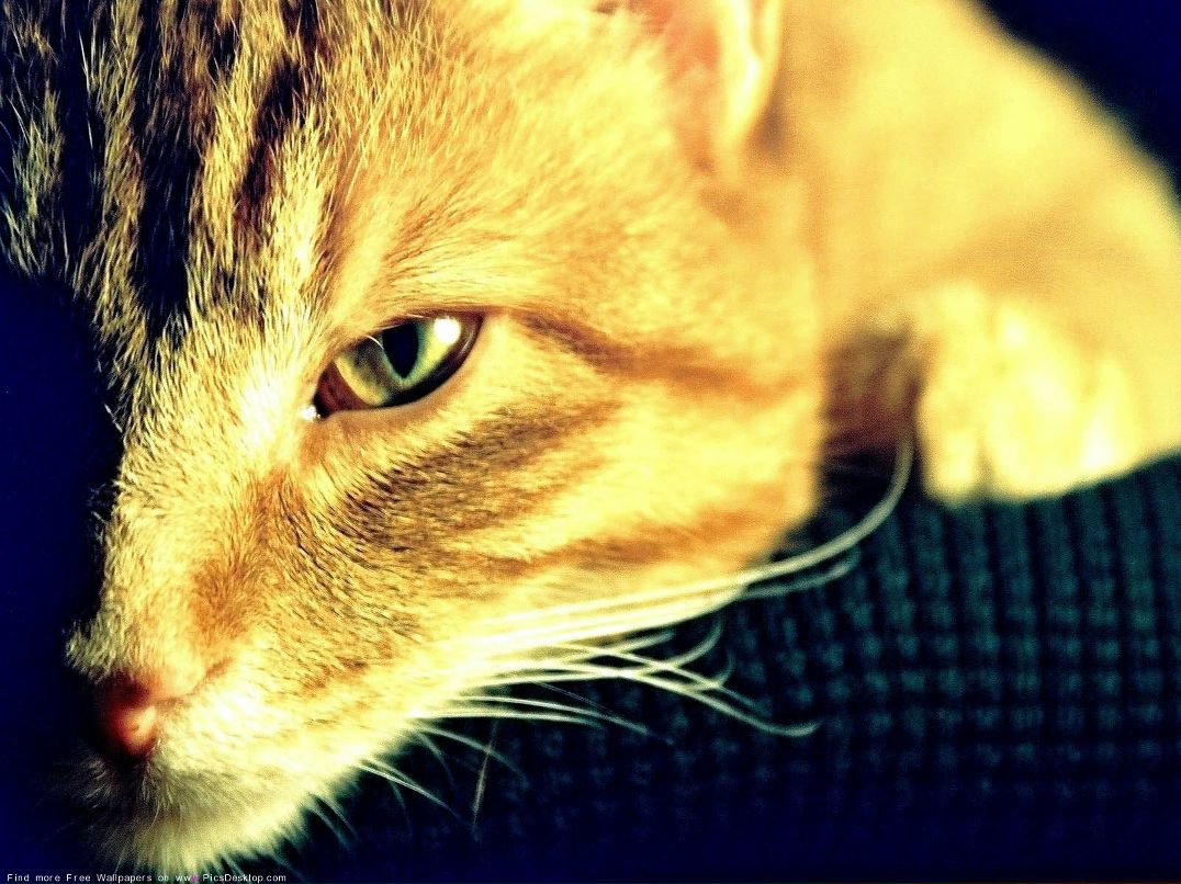 Мария Гилёва | Екатеринбург