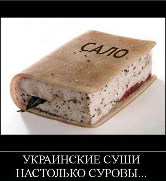 №43, Сергей Щербаковский, 42 года, Львов №43, Сергей Щербаковский, 42 года, Львов