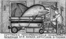 №14 Алексей Грибов 28.08.1986: профиль, фото, статус - ВКонтакте