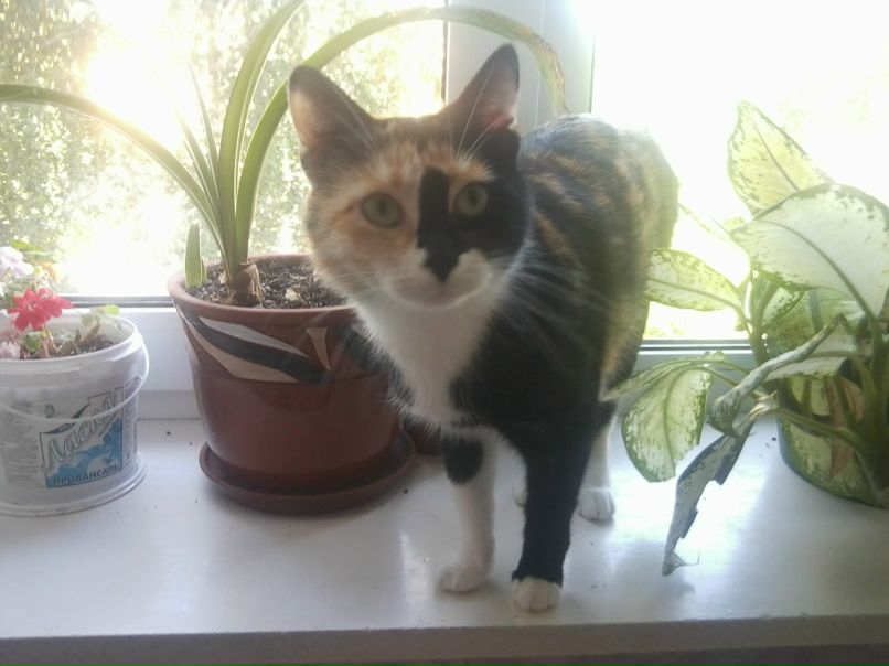 Надежда Ведерникова | Йошкар-Ола