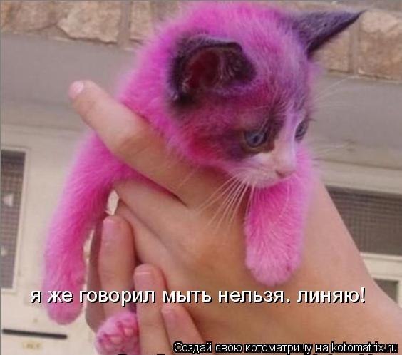 Sergey Селезнев @aka malkoff@ | Луганск