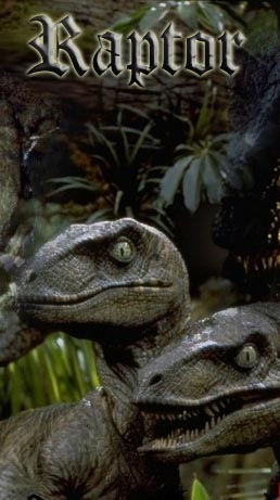 №16, Антон Пыко №16, Антон Пыко