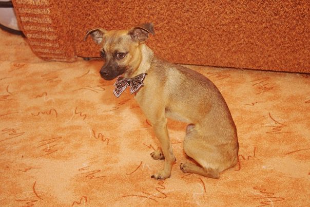 №100, Olya Garmashova, 39 лет, Севастополь №100, Olya Garmashova, 39 лет, Севастополь