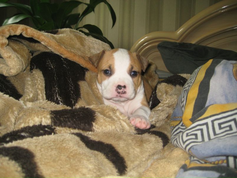 №63, Юлия Стрельченко, Саратов, Россия №63, Юлия Стрельченко, Саратов, Россия