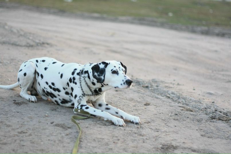 Славик Аджигитов | Москва