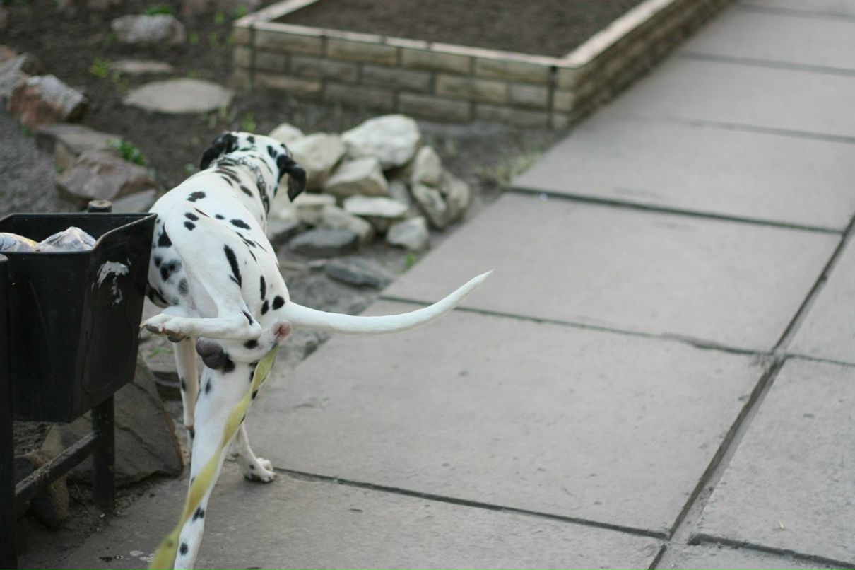 Славик Аджигитов | Москва