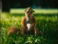 Анна Семёнова | Пермь