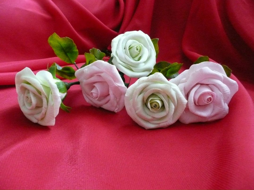 Татьяна Захарова | Санкт-Петербург