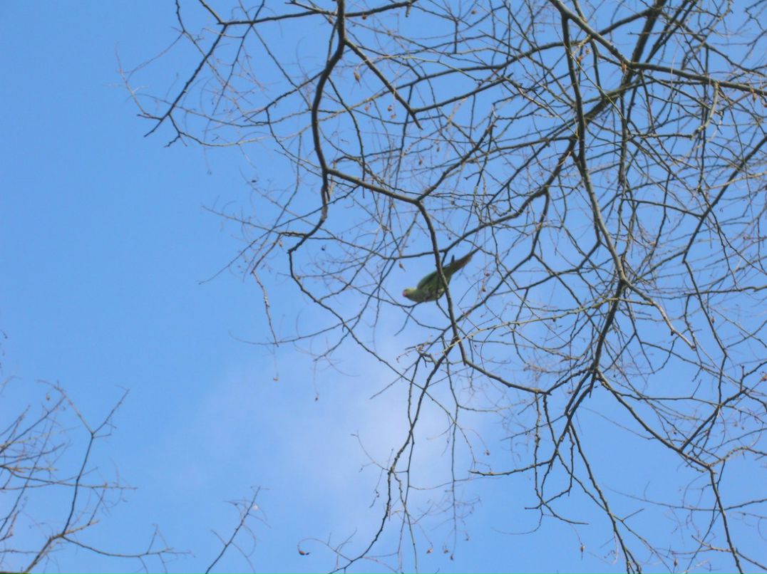 Наталия Лютц | Wiesbaden