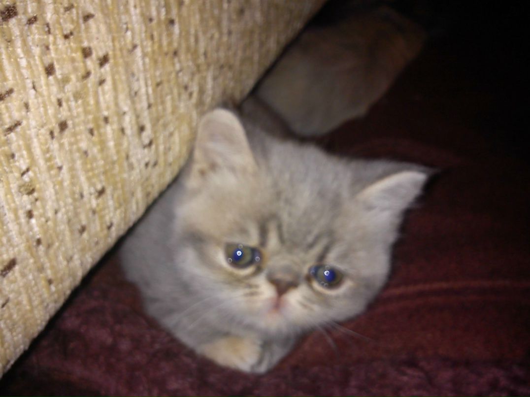 Наташа Кузнецова | 