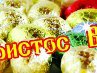 Наталья Донецкая | Новороссия