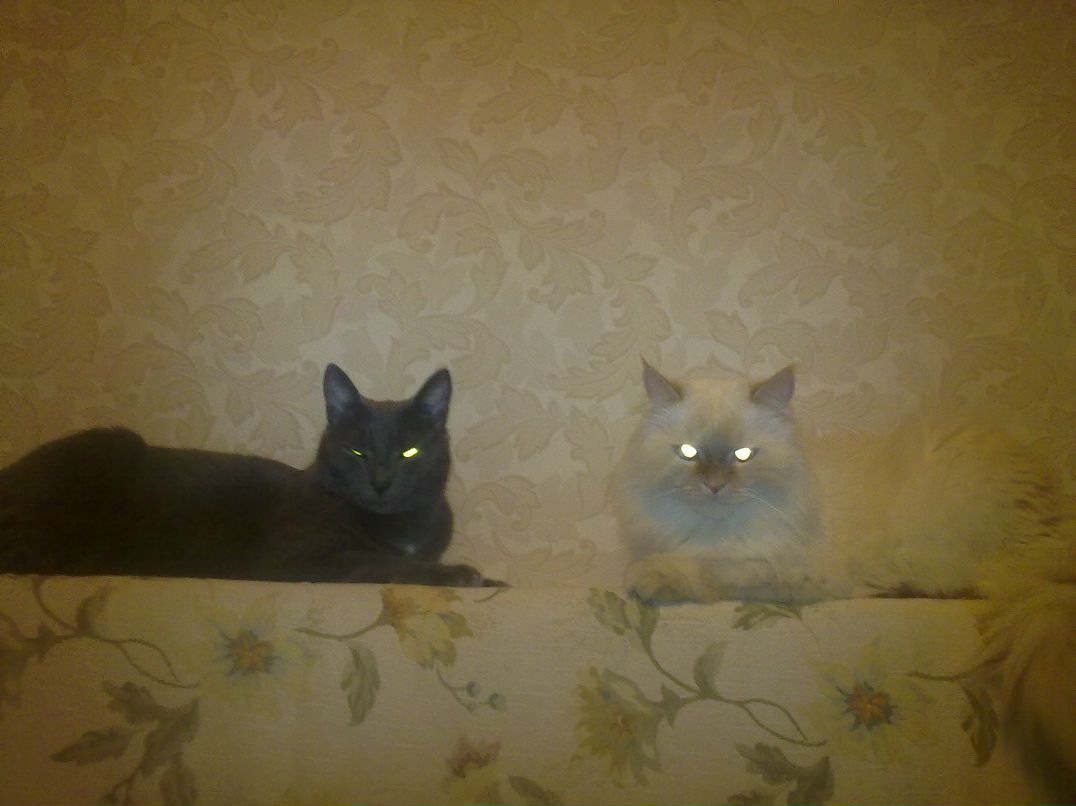 Юлия Кузнецова | Новосибирск