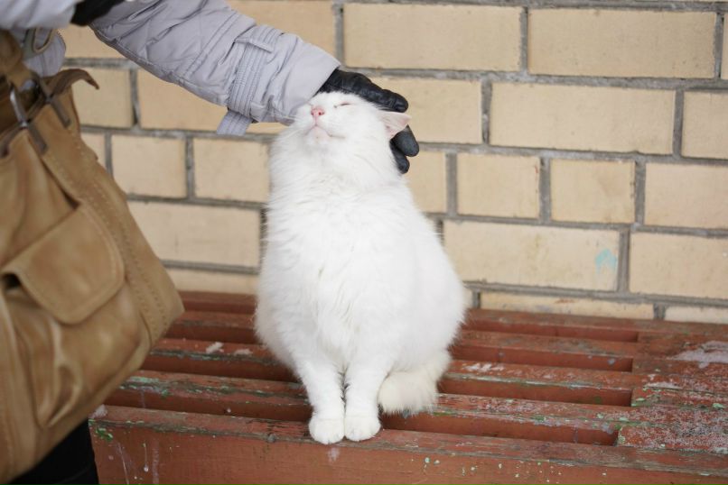 Даша Юдинцева | Минск