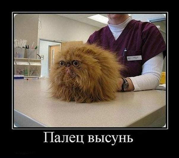 №51, Татьяна Козуб, 39 лет, Киев №51, Татьяна Козуб, 39 лет, Киев
