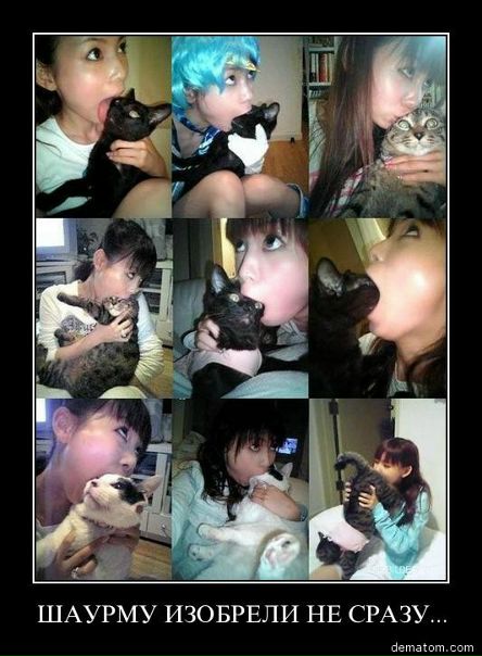 №94, Kruaf Nataniel, Краснознаменск №94, Kruaf Nataniel, Краснознаменск