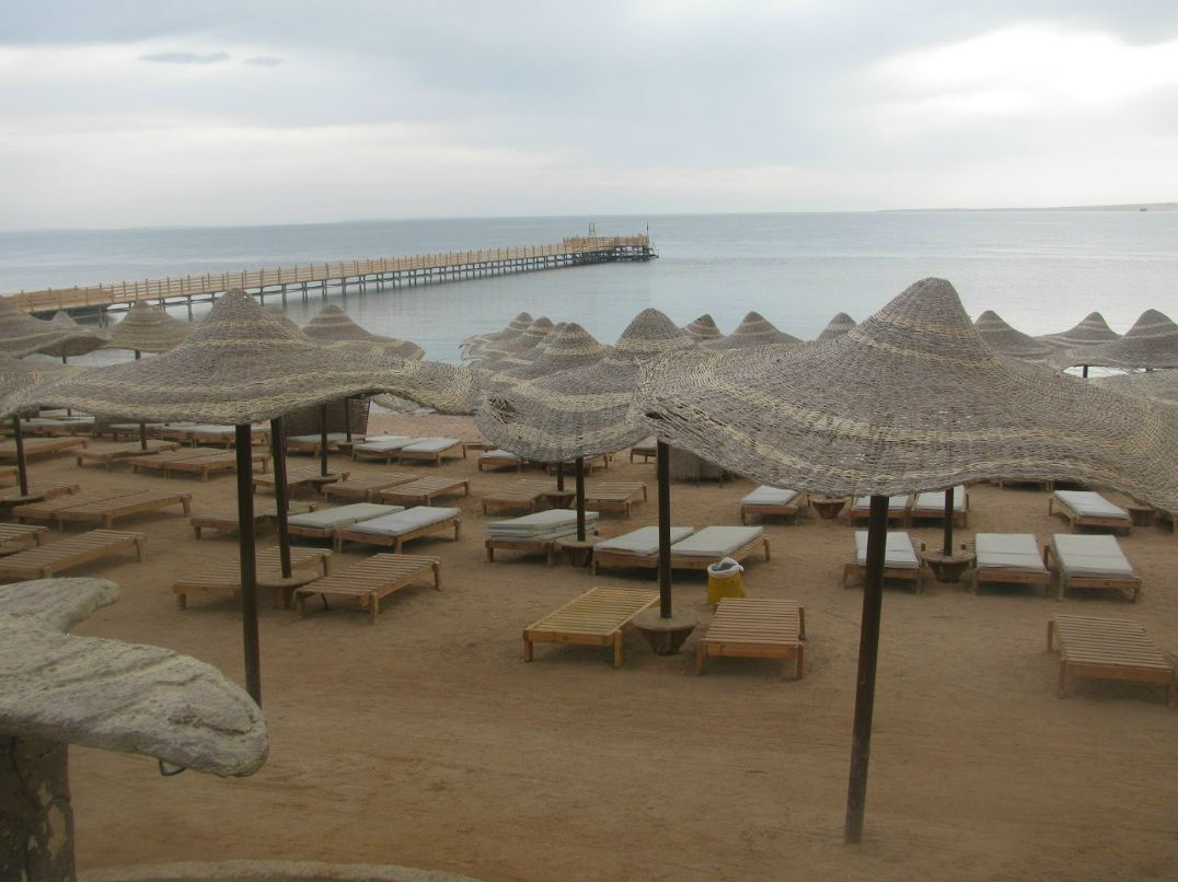 Максим Лукашеня | Барановичи