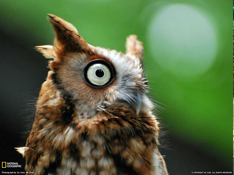 Любовь Дудкина Old_Owl | Пятигорск
