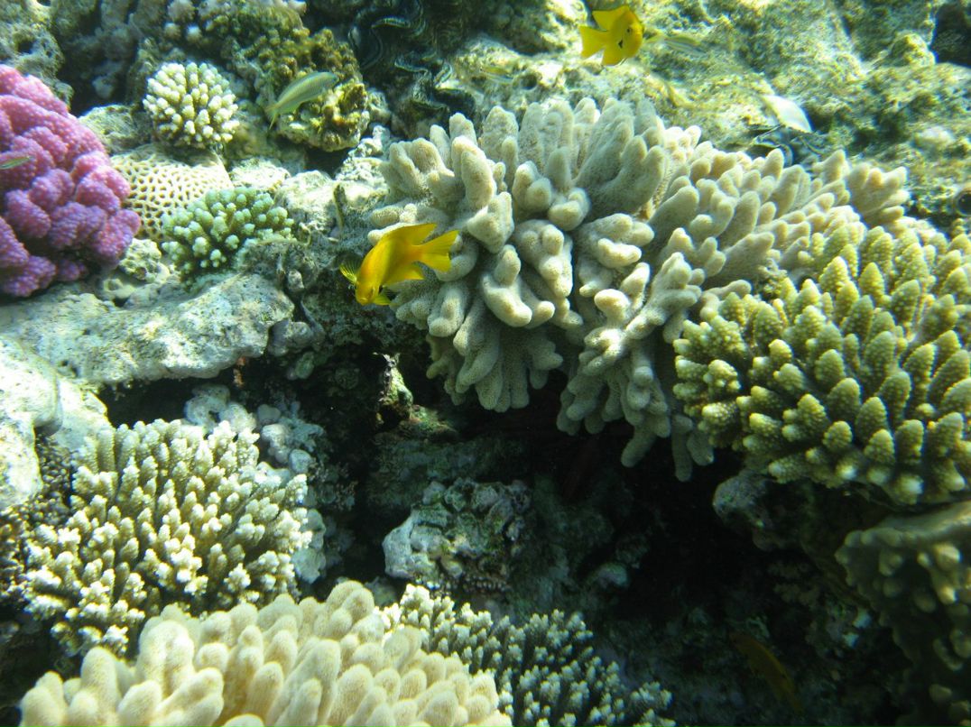 Надежда Кропачева | Киров