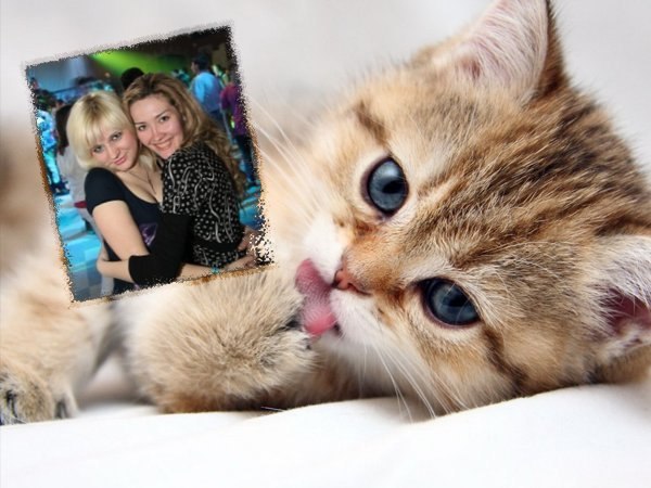 Татьяна Федько | Berlin