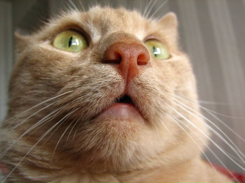 Сергей Нуждин | Саратов