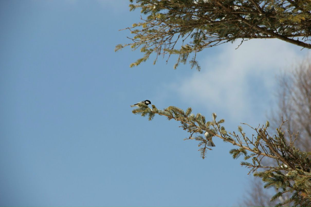 Ксения Жаркова | Краснодар