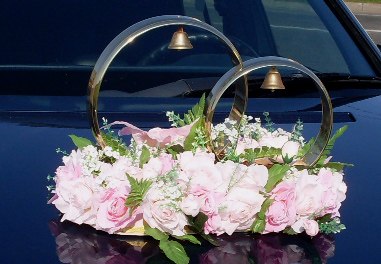 Дмитрий Подвойский Свадебных | 