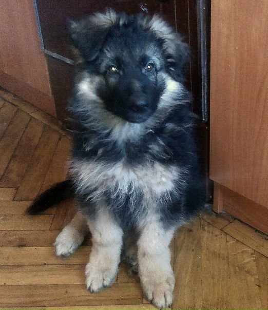 №103, Nastya Lungul, 35 лет, Одесса №103, Nastya Lungul, 35 лет, Одесса