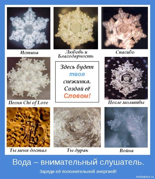 №18, Ольга Ларева №18, Ольга Ларева