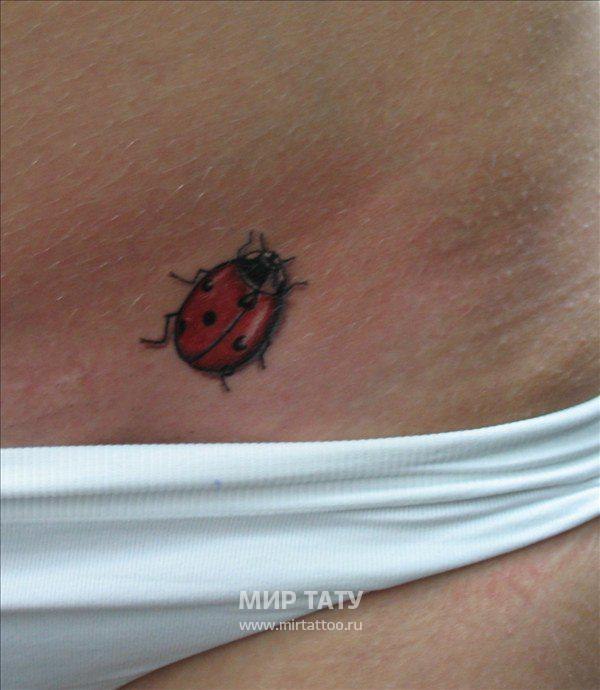 Наталья Рябова | Омск